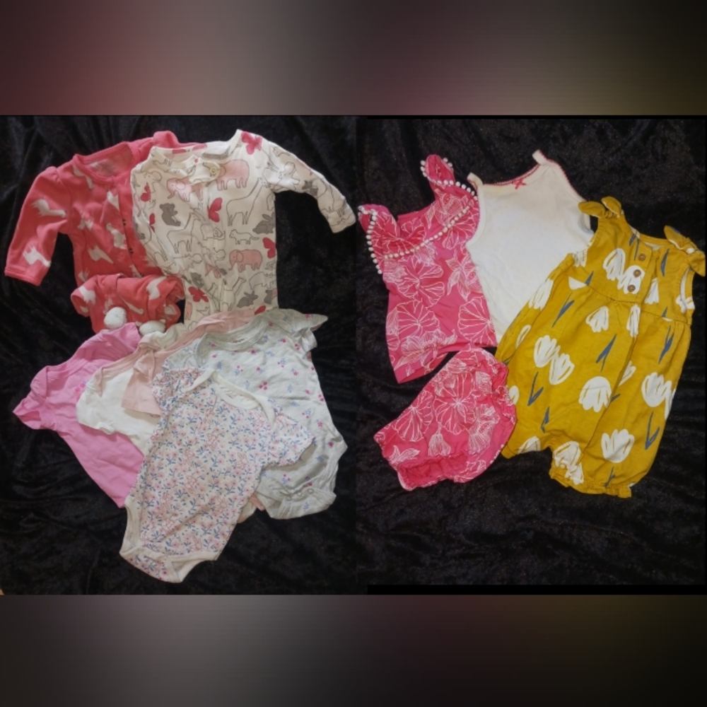 11 piece Infant Girls 3/3-6 months bundle
